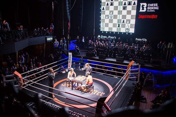 Chessboxing Ring